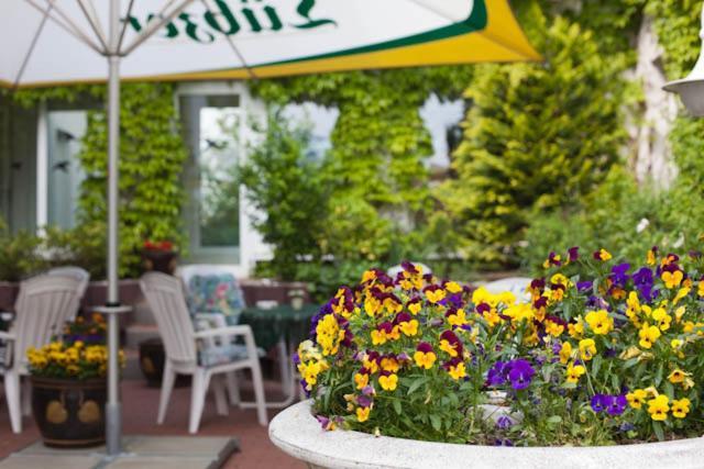 Sporthotel Malchow Hotel Garni Hp Ist Moeglich Exterior photo
